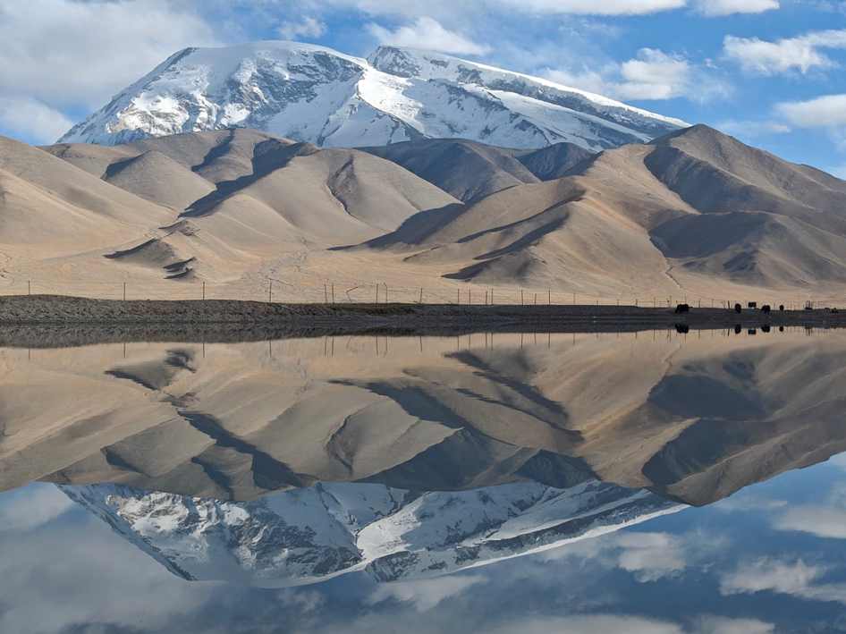 Vivian Jones – Bank Robbery