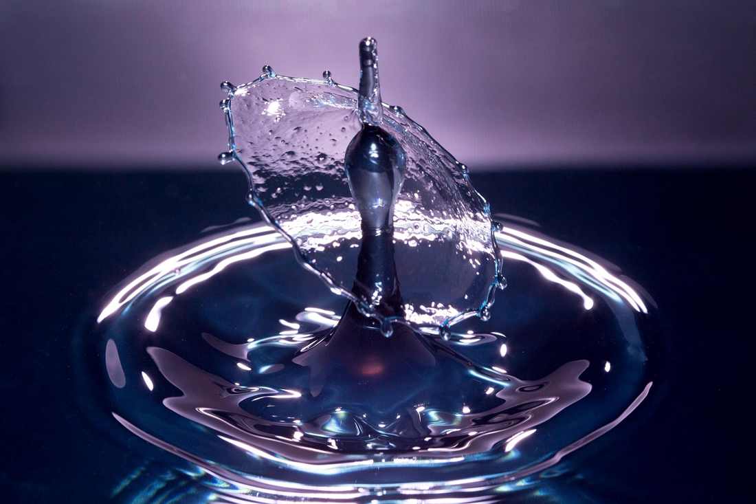 Programa Digestivo Reggae #241
